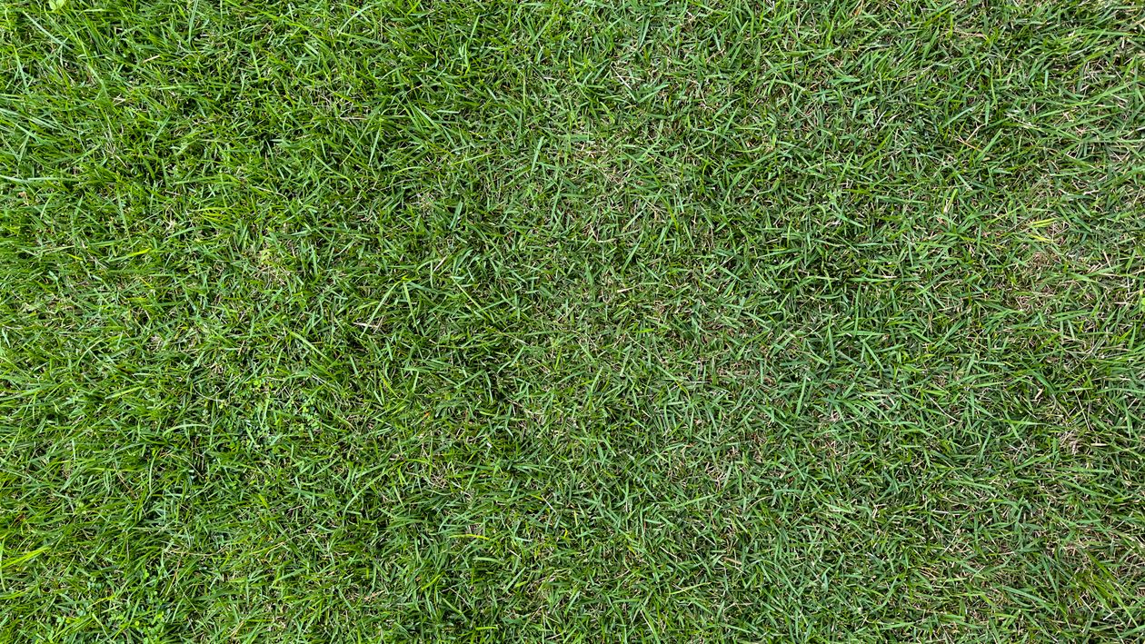 Automatyczne koszenie trawy
