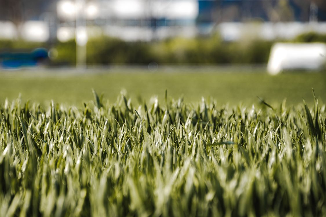 automatyczny robot koszący trawnik