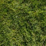 robot koszący mammotion luba 2 awd 3000x