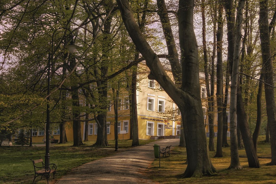 projekty studentów WAEiI PGŚ